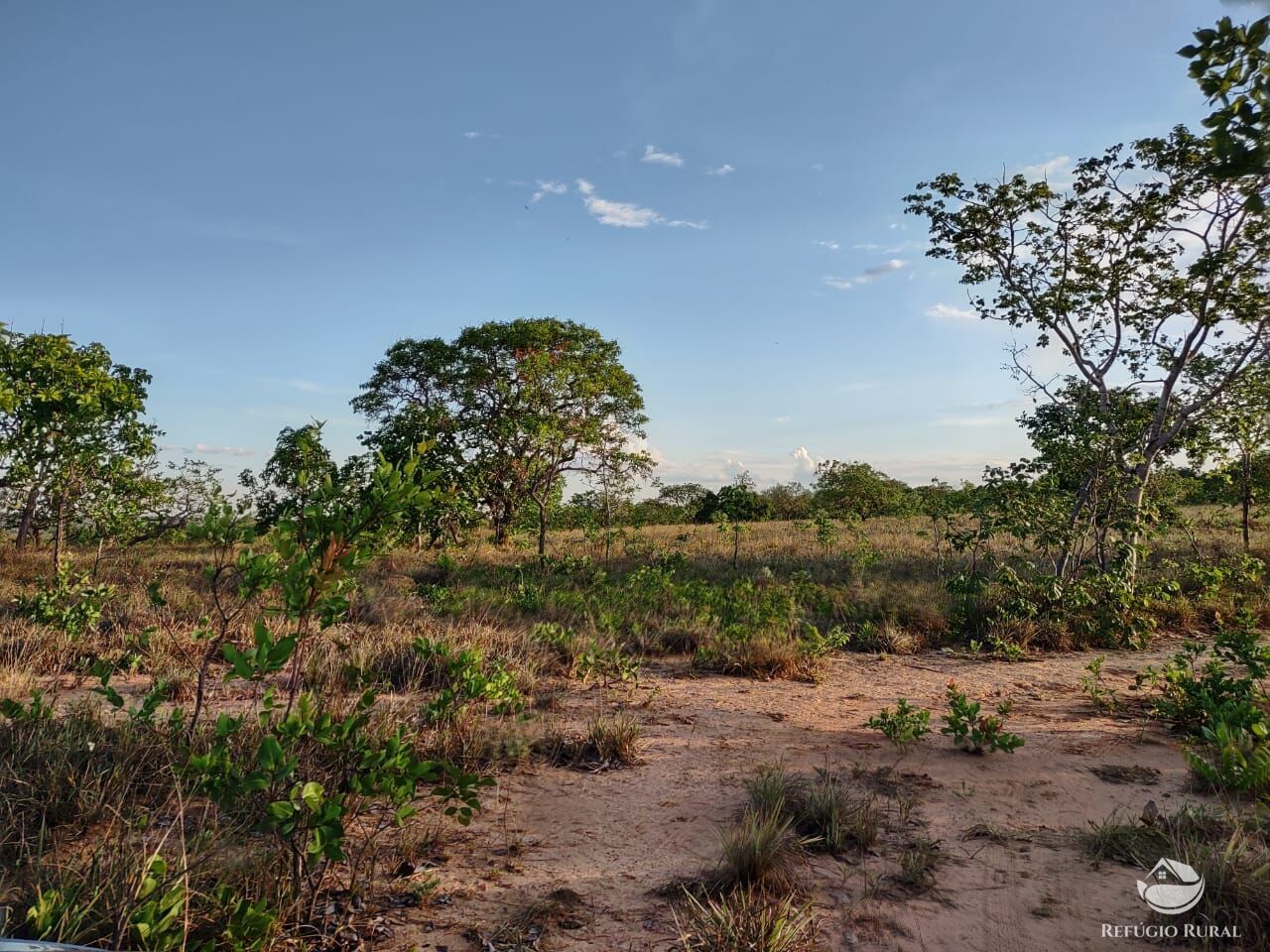 Fazenda, 1046 hectares - Foto 7