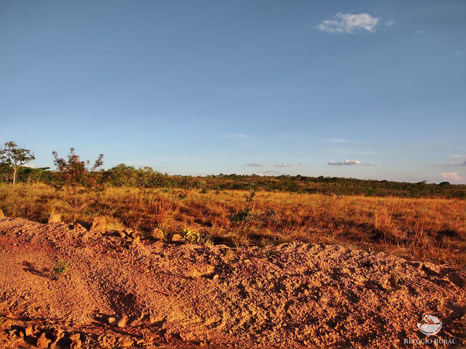 Fazenda, 1046 hectares - Foto 18