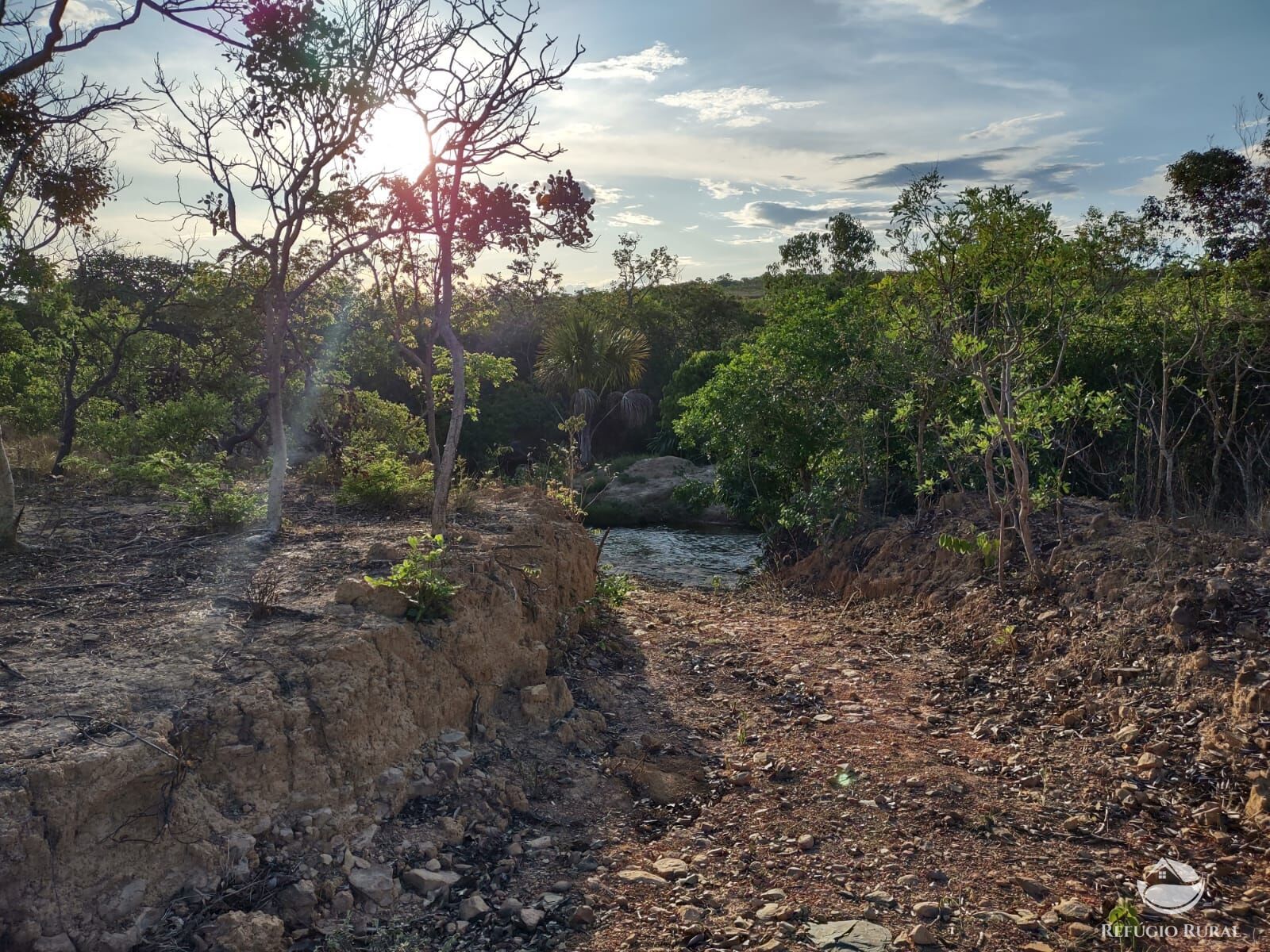 Fazenda, 1046 hectares - Foto 9