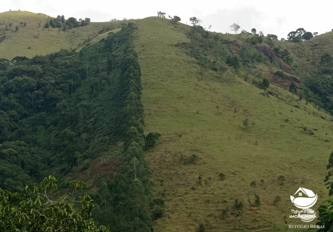 Terreno à venda, 60000m² - Foto 4