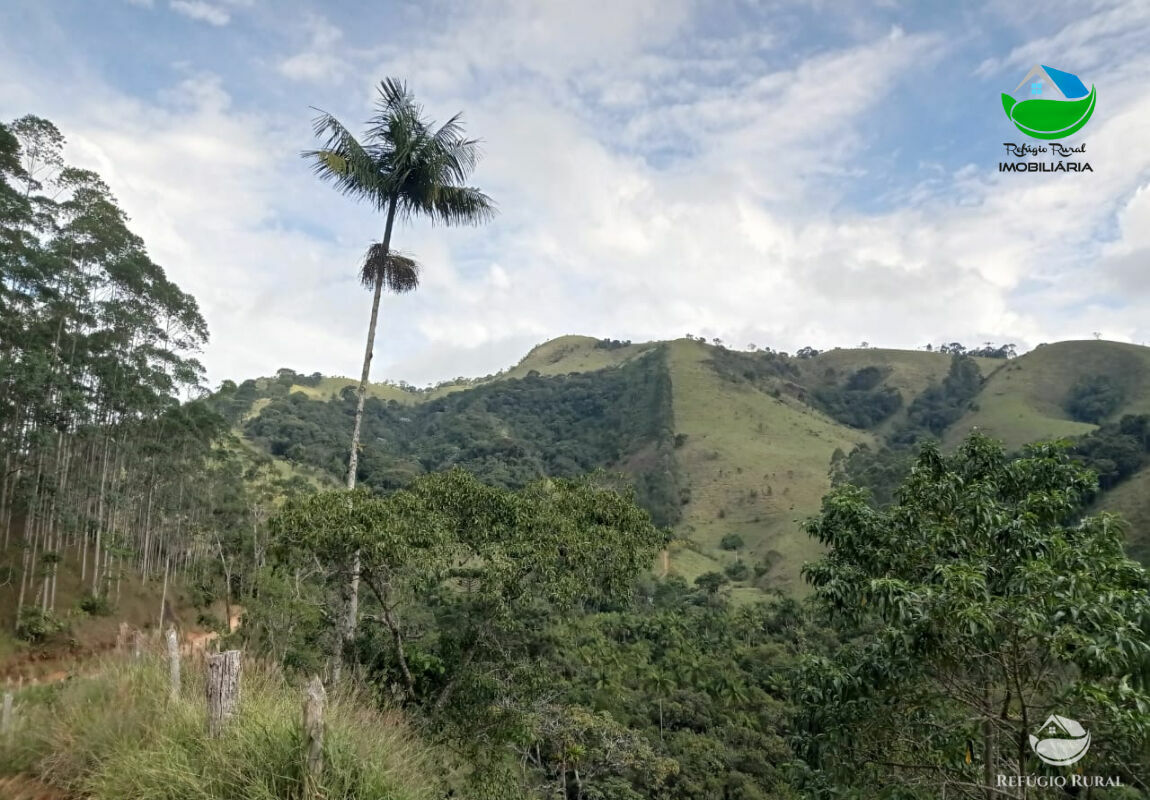 Terreno à venda, 60000m² - Foto 17