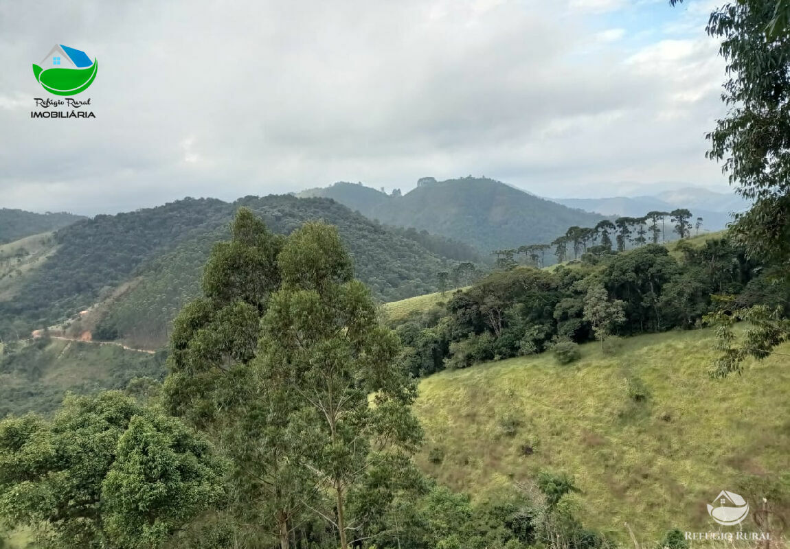 Terreno à venda, 60000m² - Foto 13