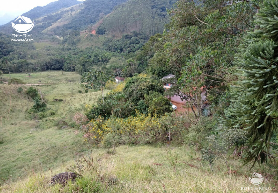 Terreno à venda, 60000m² - Foto 2