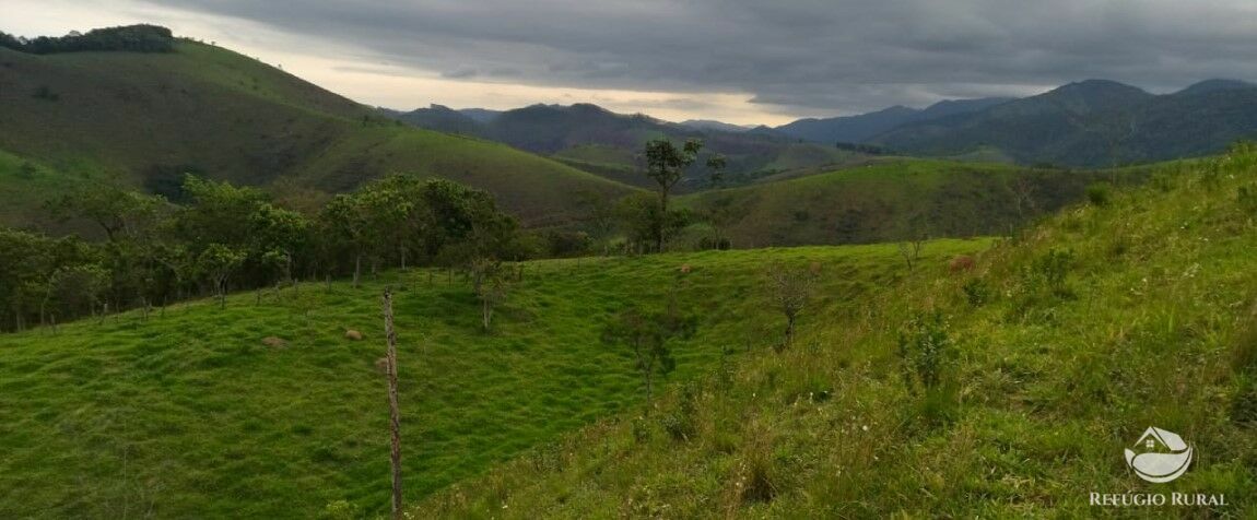 Terreno à venda, 20000m² - Foto 8