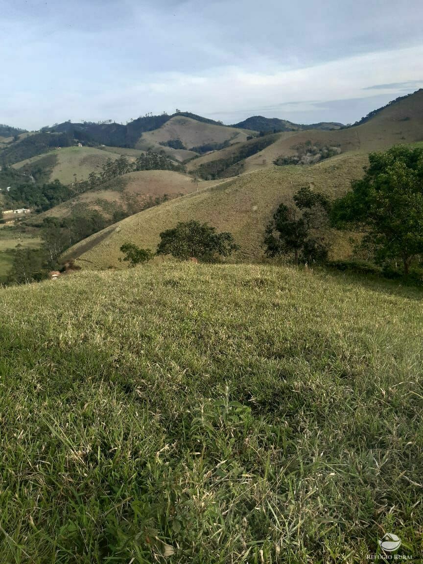 Terreno à venda, 20000m² - Foto 11