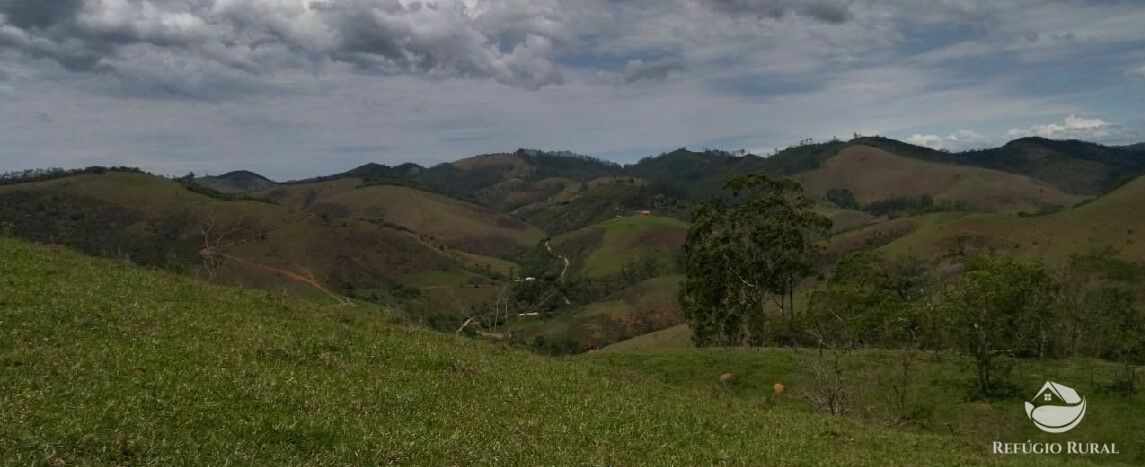 Terreno à venda, 20000m² - Foto 6