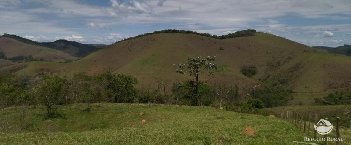 Terreno à venda, 20000m² - Foto 3