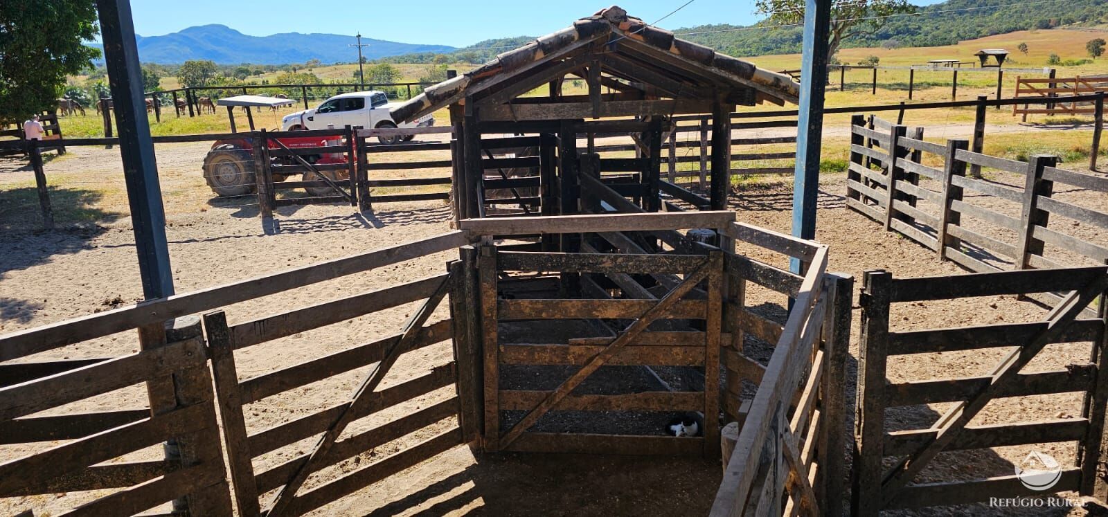 Fazenda, 208 hectares - Foto 29