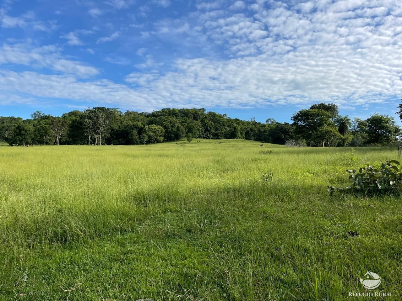 Fazenda à venda com 6 quartos, 2081200m² - Foto 6
