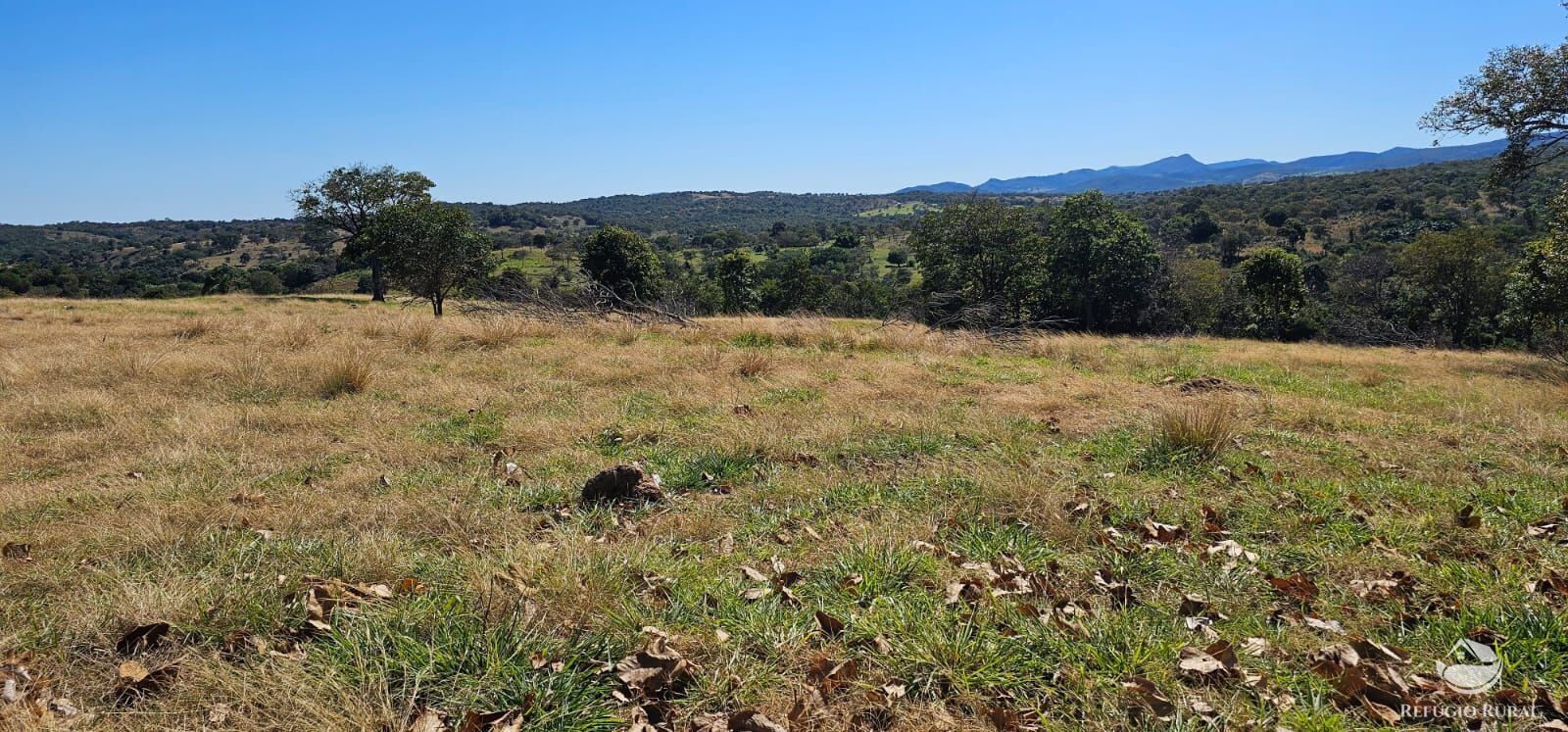 Fazenda, 208 hectares - Foto 41