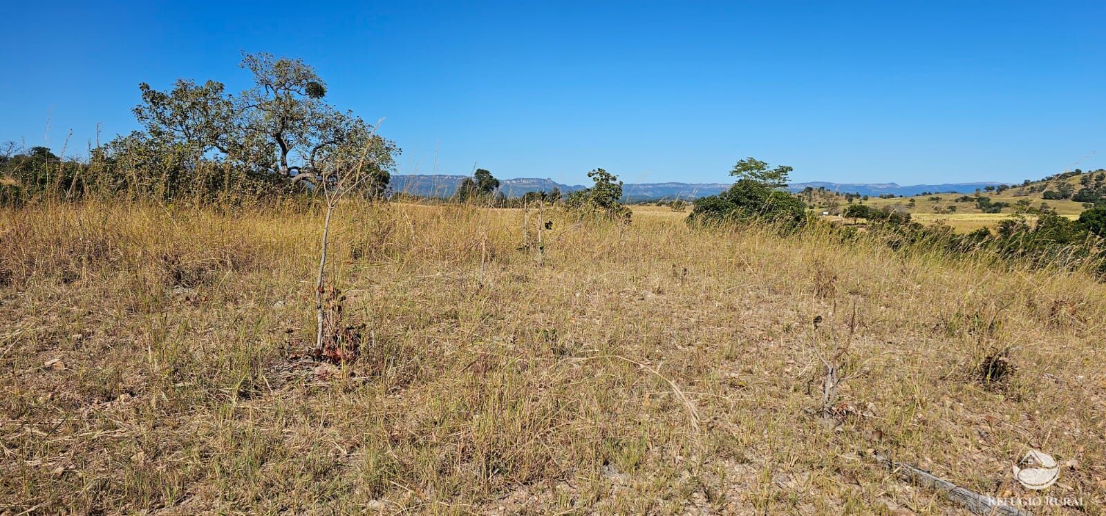Fazenda, 208 hectares - Foto 35