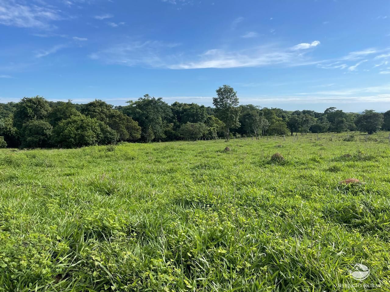 Fazenda à venda com 6 quartos, 2081200m² - Foto 5