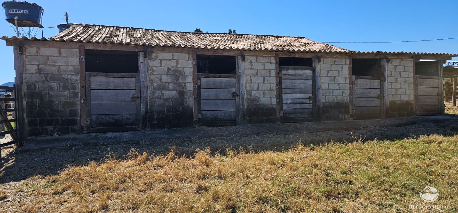 Fazenda, 208 hectares - Foto 28