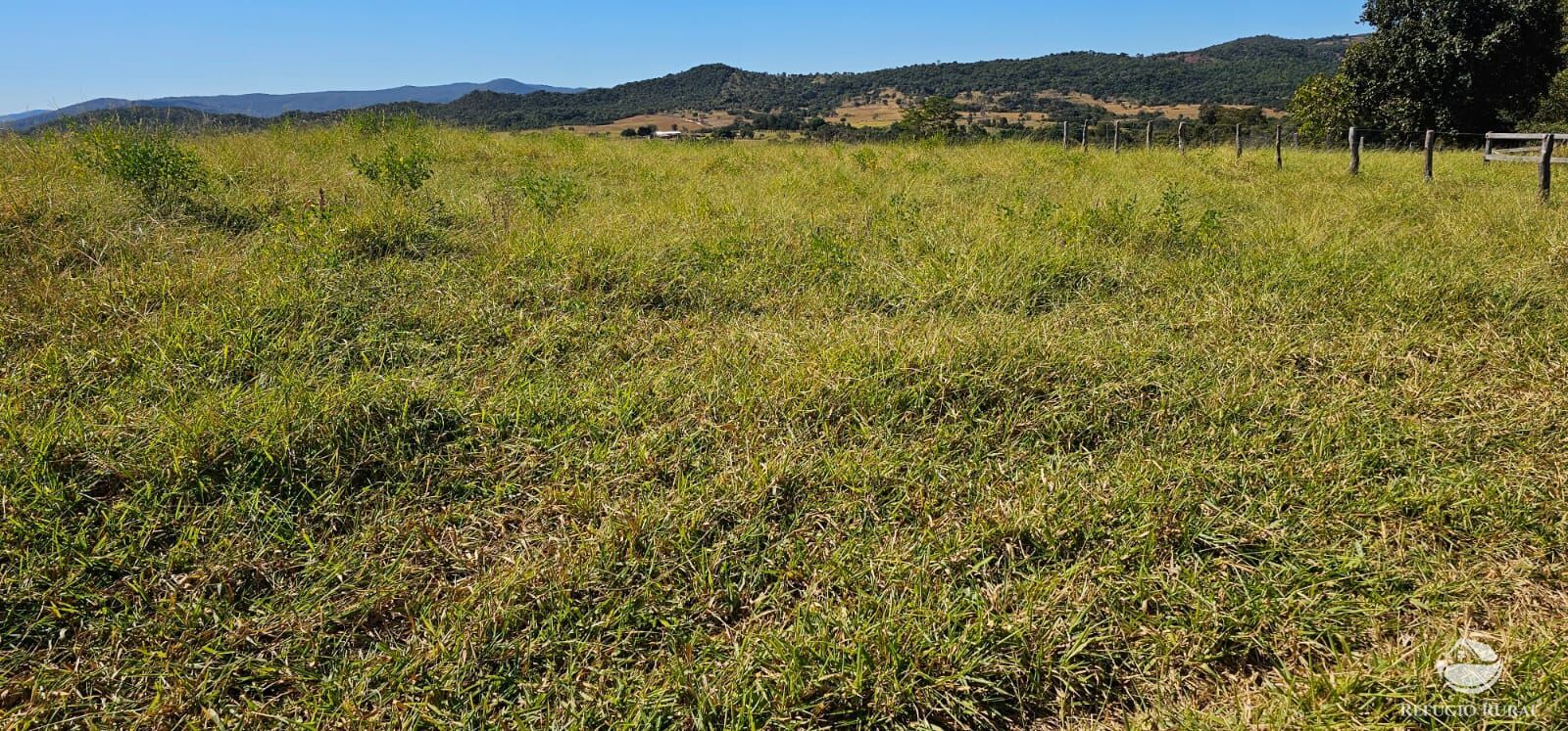 Fazenda, 208 hectares - Foto 46