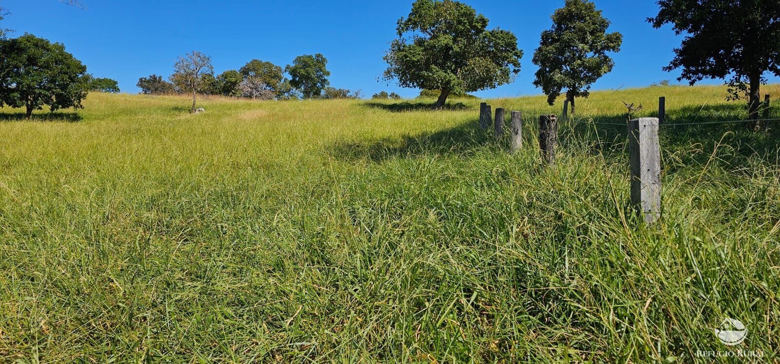Fazenda, 208 hectares - Foto 47