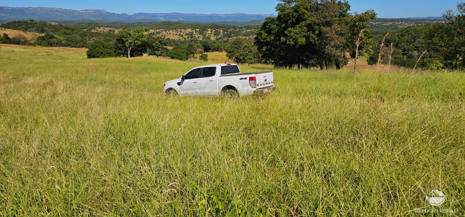 Fazenda, 208 hectares - Foto 39