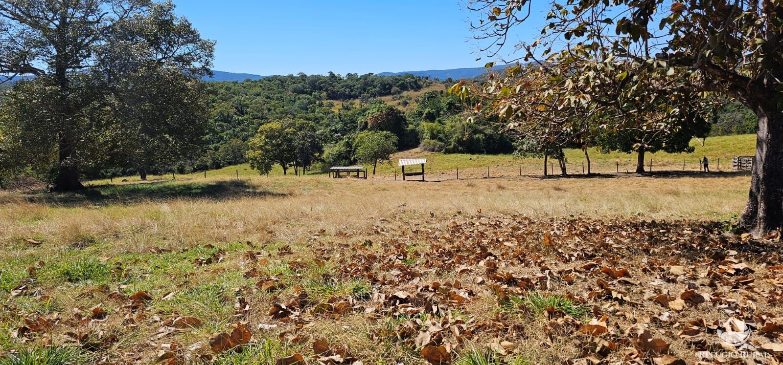 Fazenda, 208 hectares - Foto 42