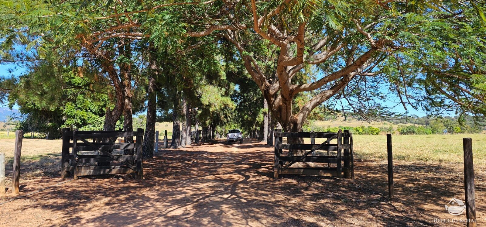 Fazenda, 208 hectares - Foto 22
