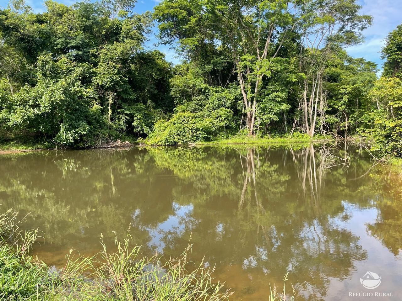 Fazenda à venda com 6 quartos, 2081200m² - Foto 9