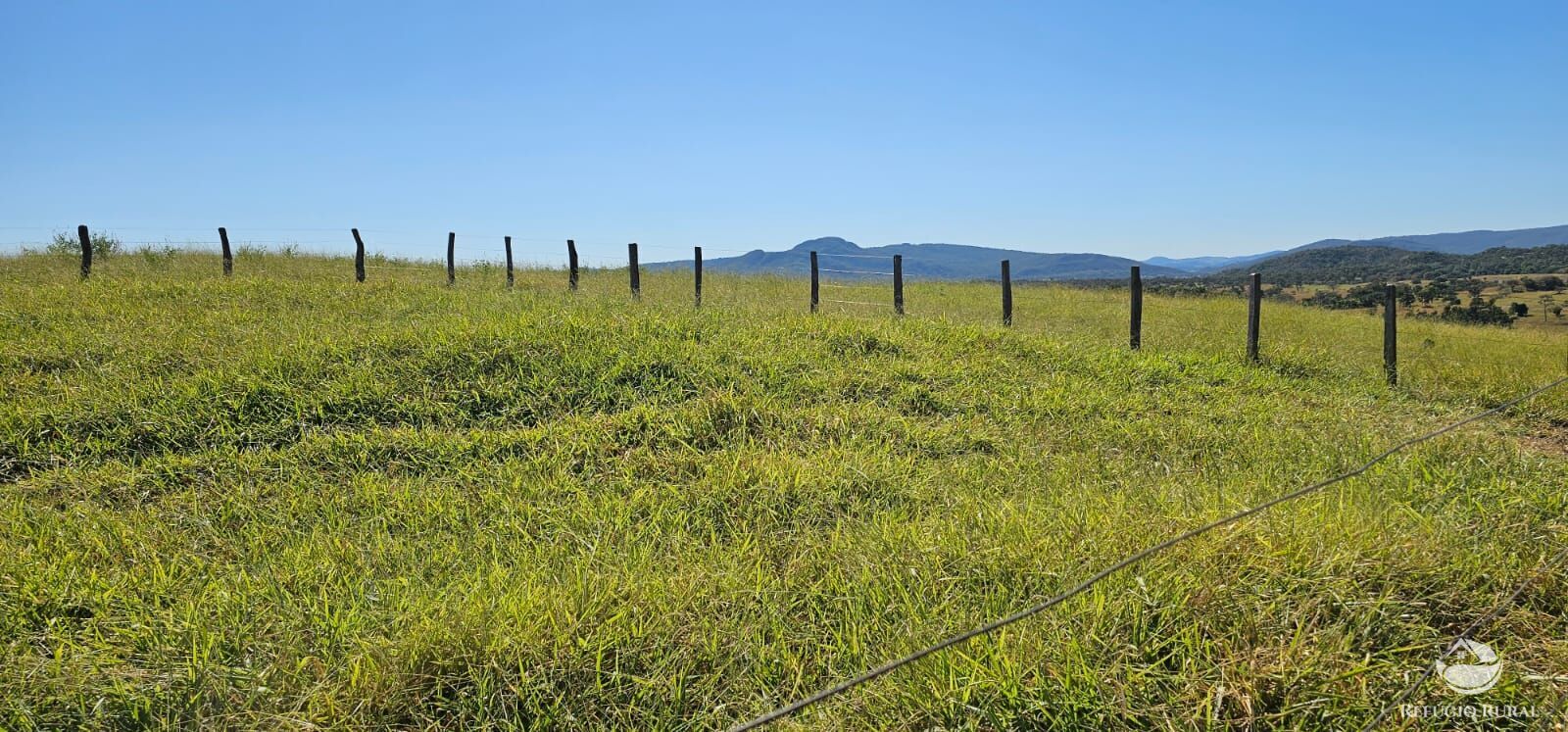 Fazenda, 208 hectares - Foto 23