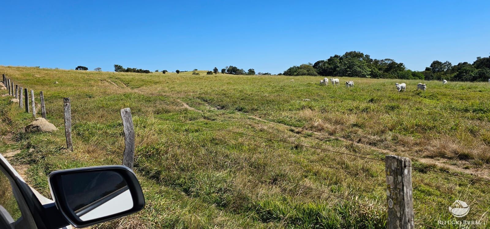 Fazenda, 208 hectares - Foto 48