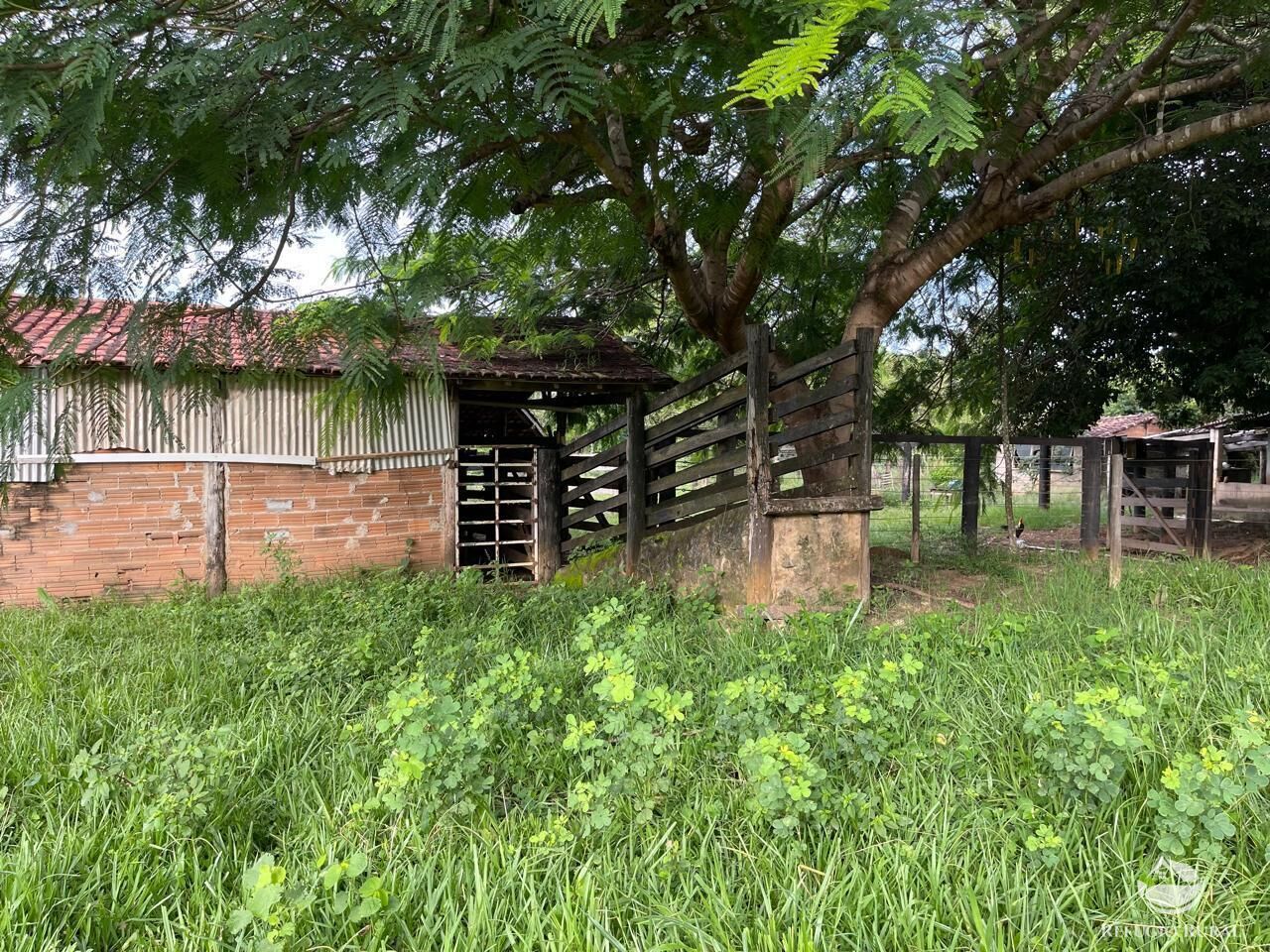 Fazenda à venda com 6 quartos, 2081200m² - Foto 13
