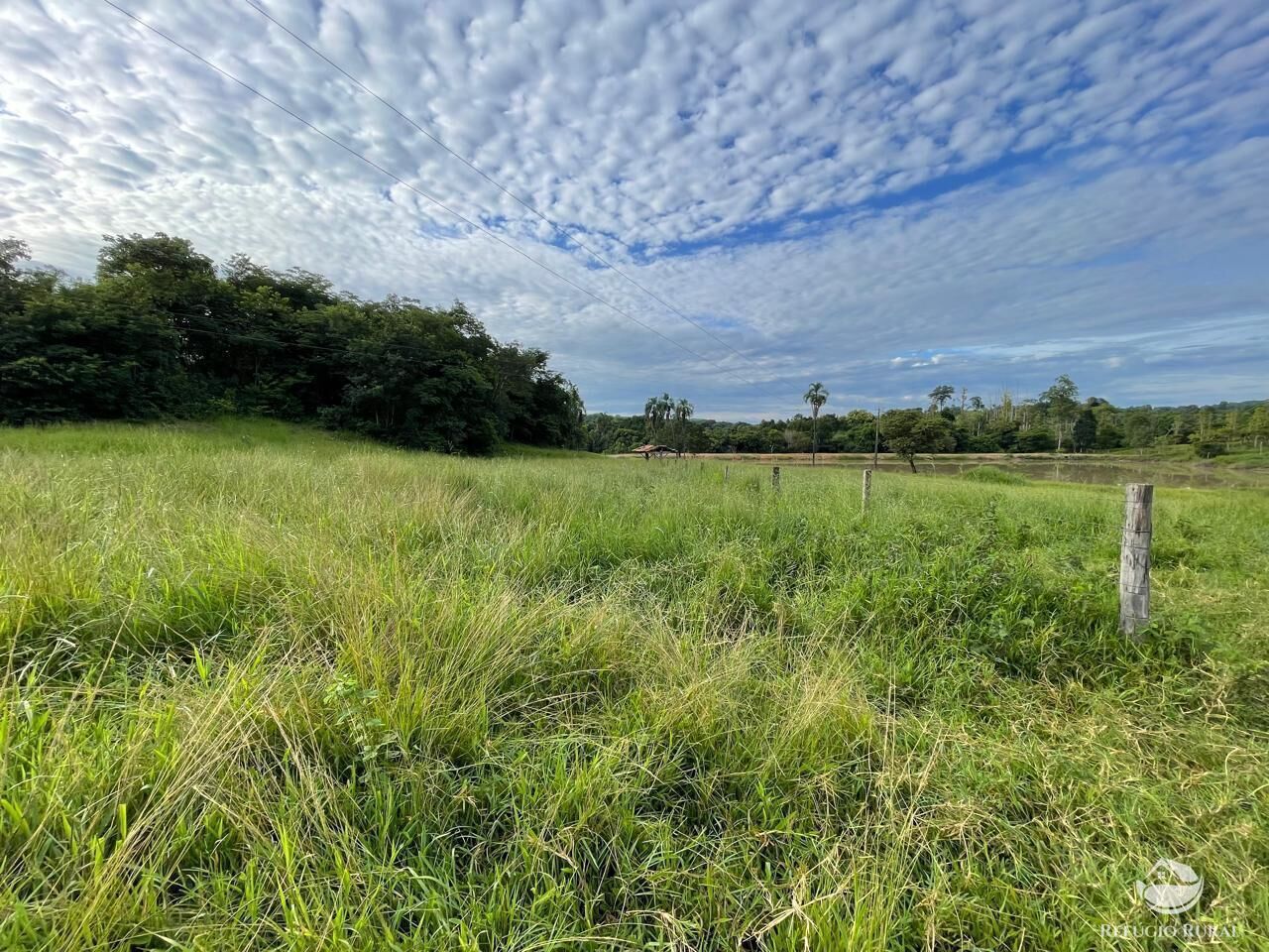 Fazenda à venda com 6 quartos, 2081200m² - Foto 8