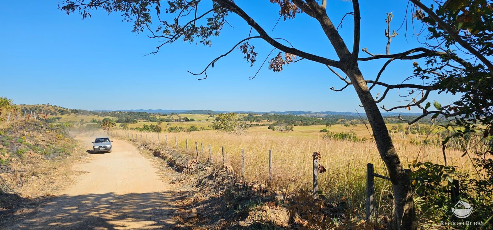 Fazenda, 208 hectares - Foto 38