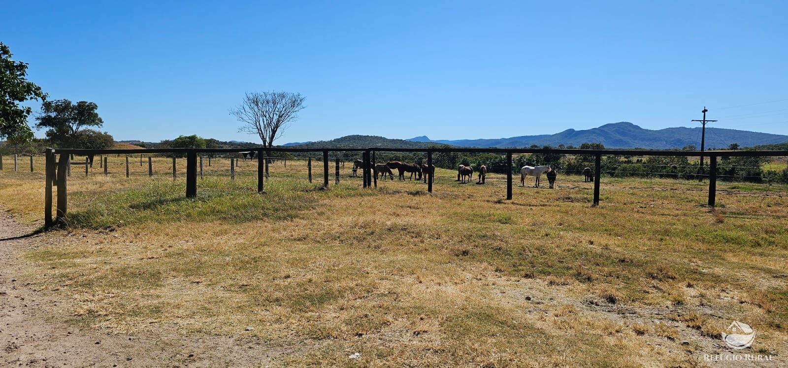 Fazenda, 208 hectares - Foto 27