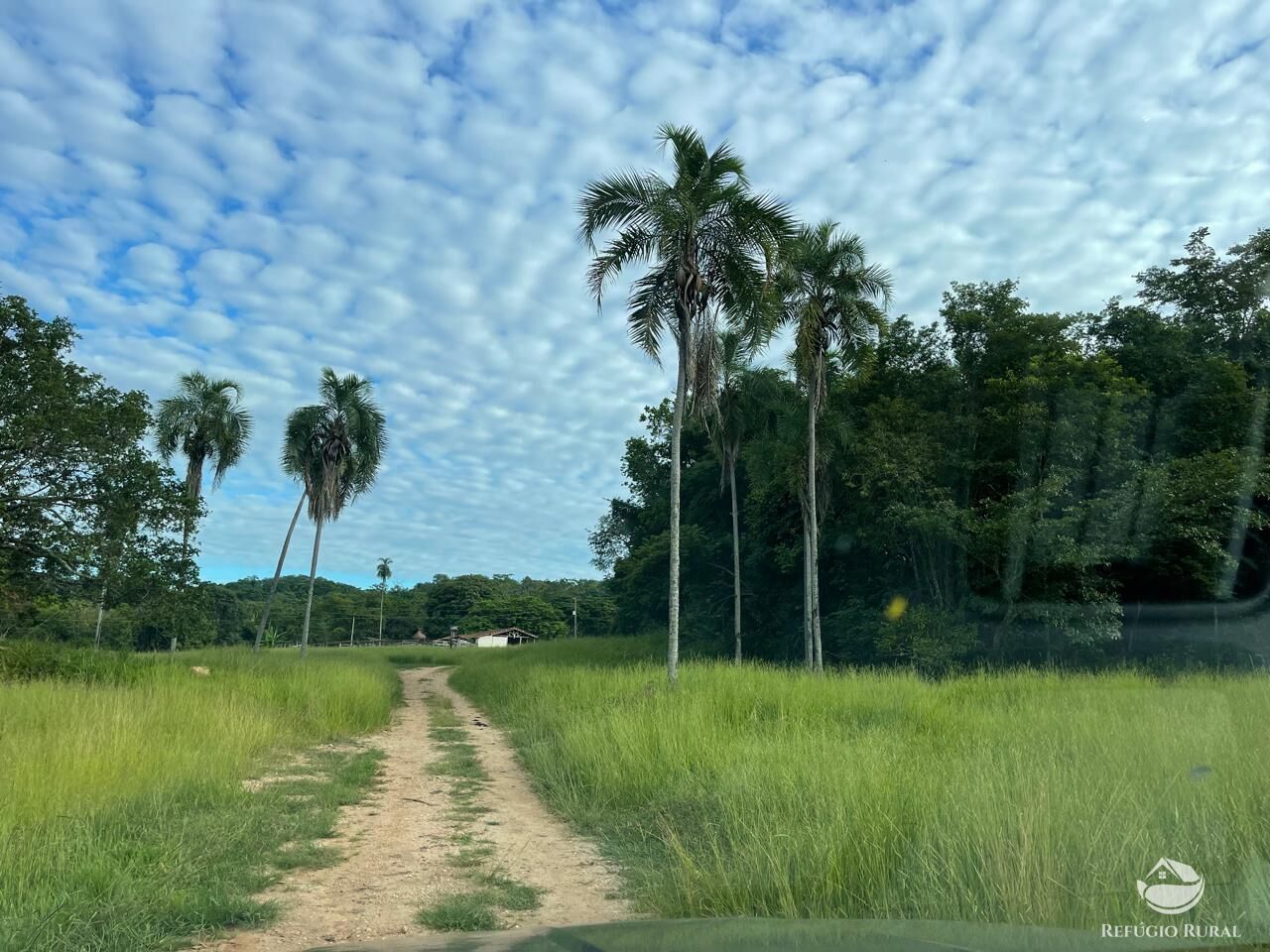 Fazenda à venda com 6 quartos, 2081200m² - Foto 3