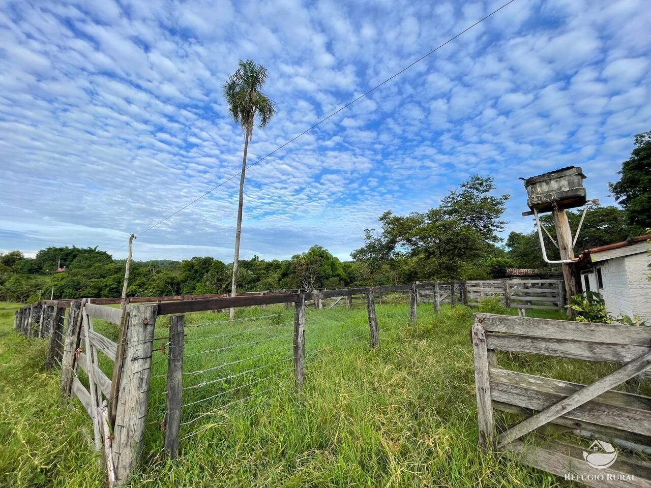 Fazenda à venda com 6 quartos, 2081200m² - Foto 10
