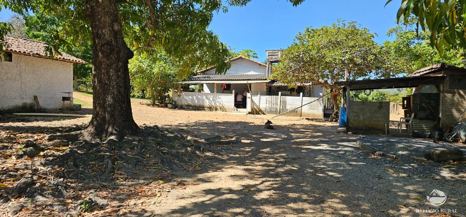 Fazenda, 208 hectares - Foto 36