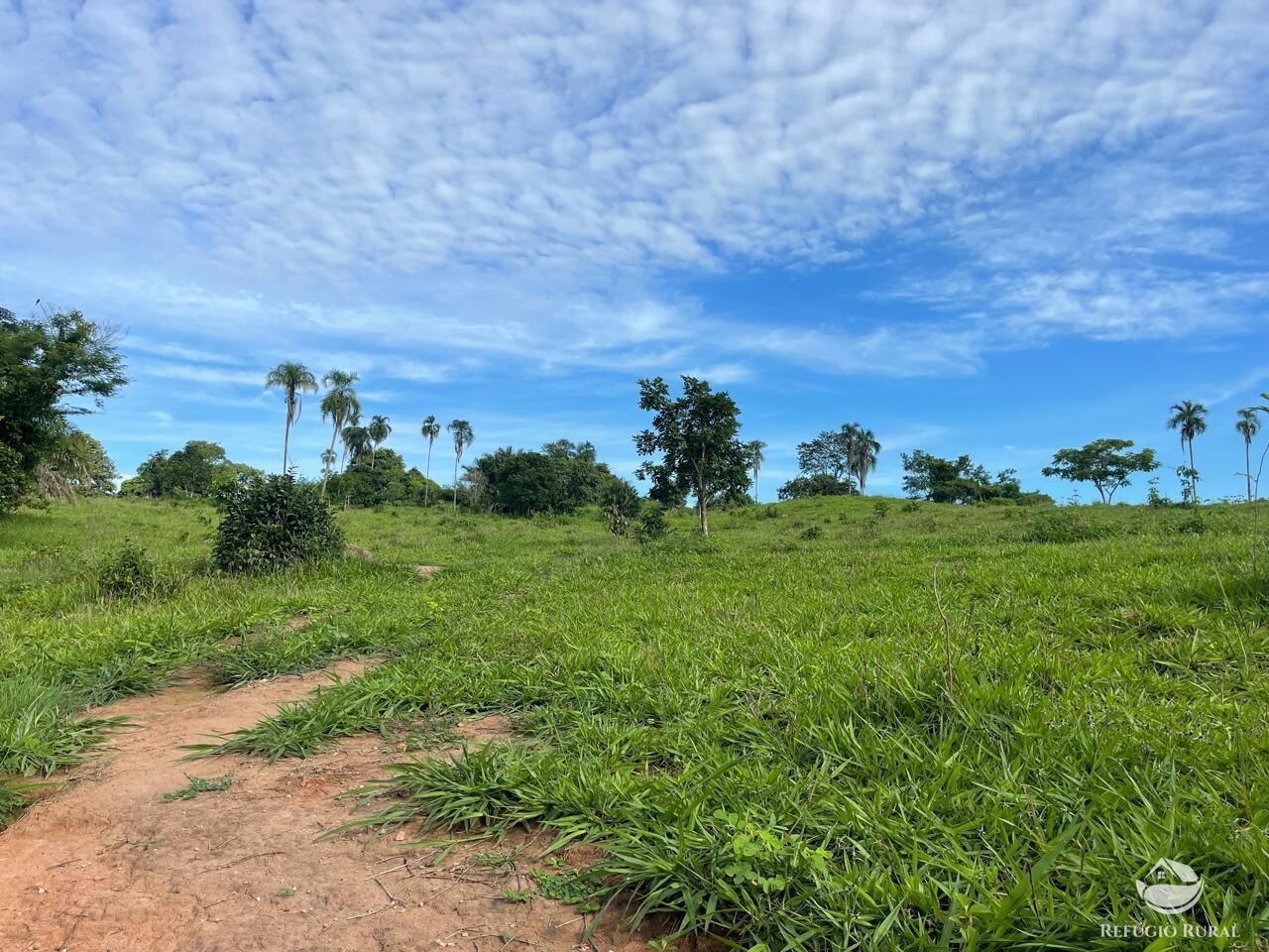 Fazenda à venda com 6 quartos, 2081200m² - Foto 11