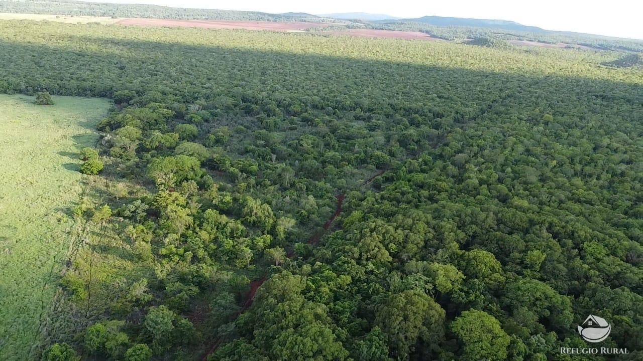 Fazenda à venda com 1 quarto, 16843200m² - Foto 5