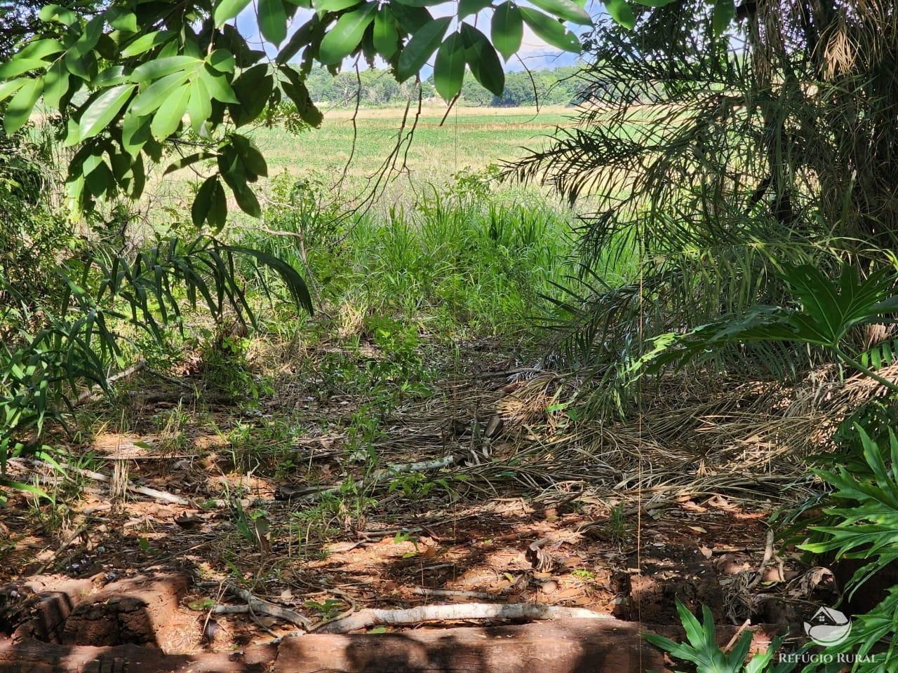 Fazenda à venda com 1 quarto, 16843200m² - Foto 4