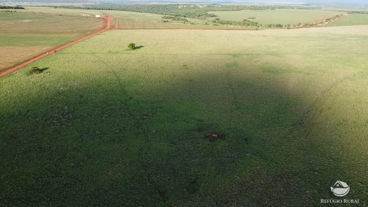 Fazenda à venda com 1 quarto, 16843200m² - Foto 7