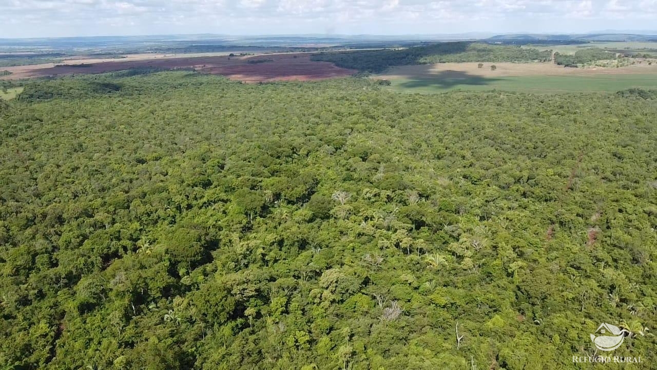 Fazenda à venda com 1 quarto, 16843200m² - Foto 6