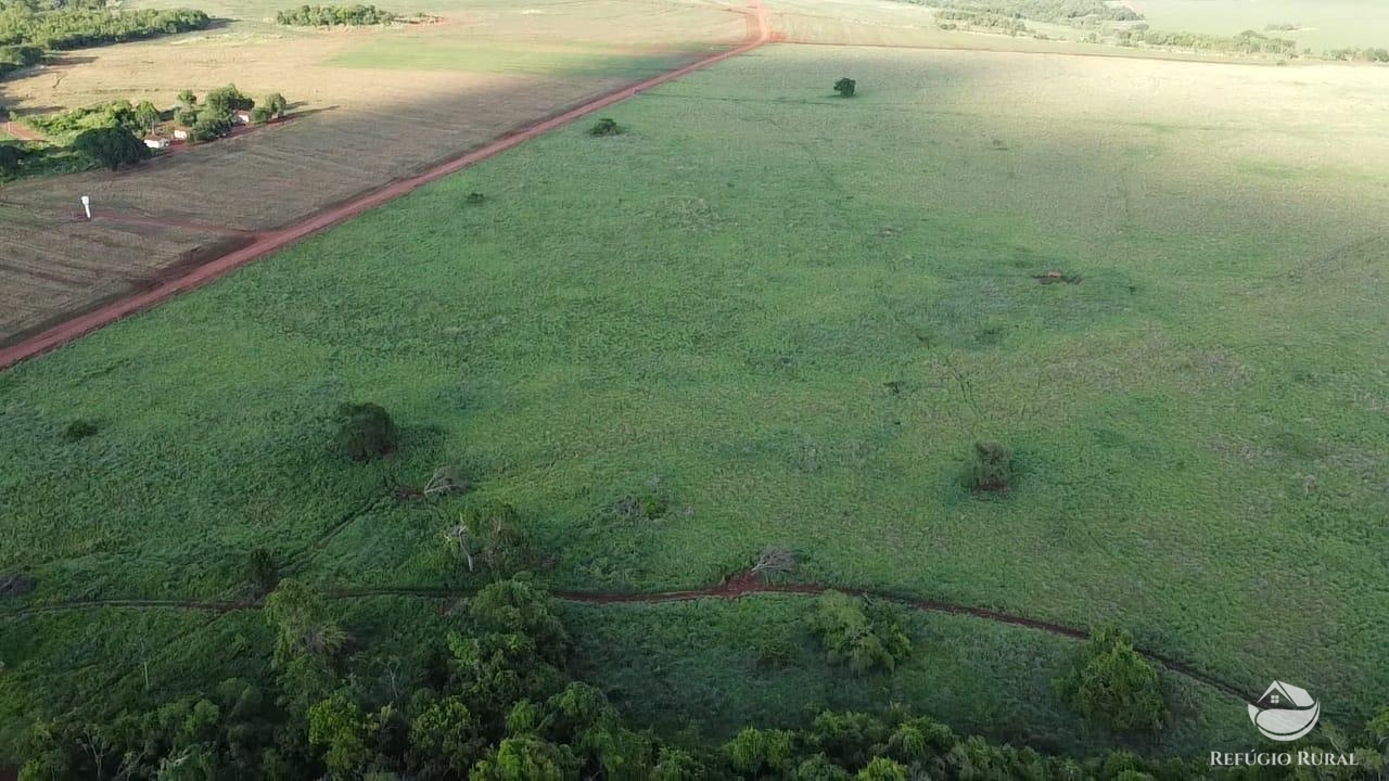 Fazenda à venda com 1 quarto, 16843200m² - Foto 8