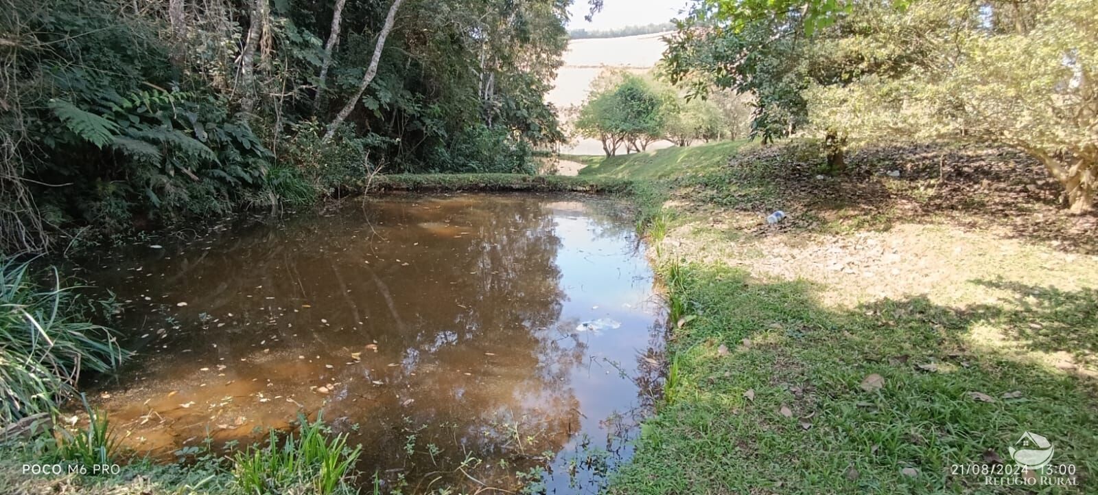 Fazenda à venda com 6 quartos, 25000m² - Foto 35