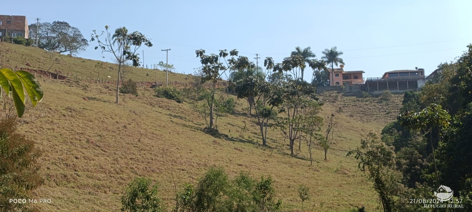 Fazenda à venda com 6 quartos, 25000m² - Foto 32