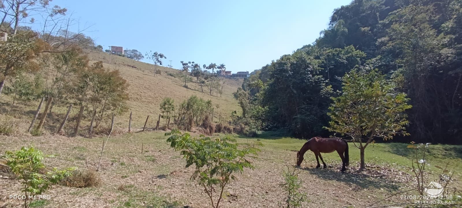 Fazenda à venda com 6 quartos, 25000m² - Foto 13