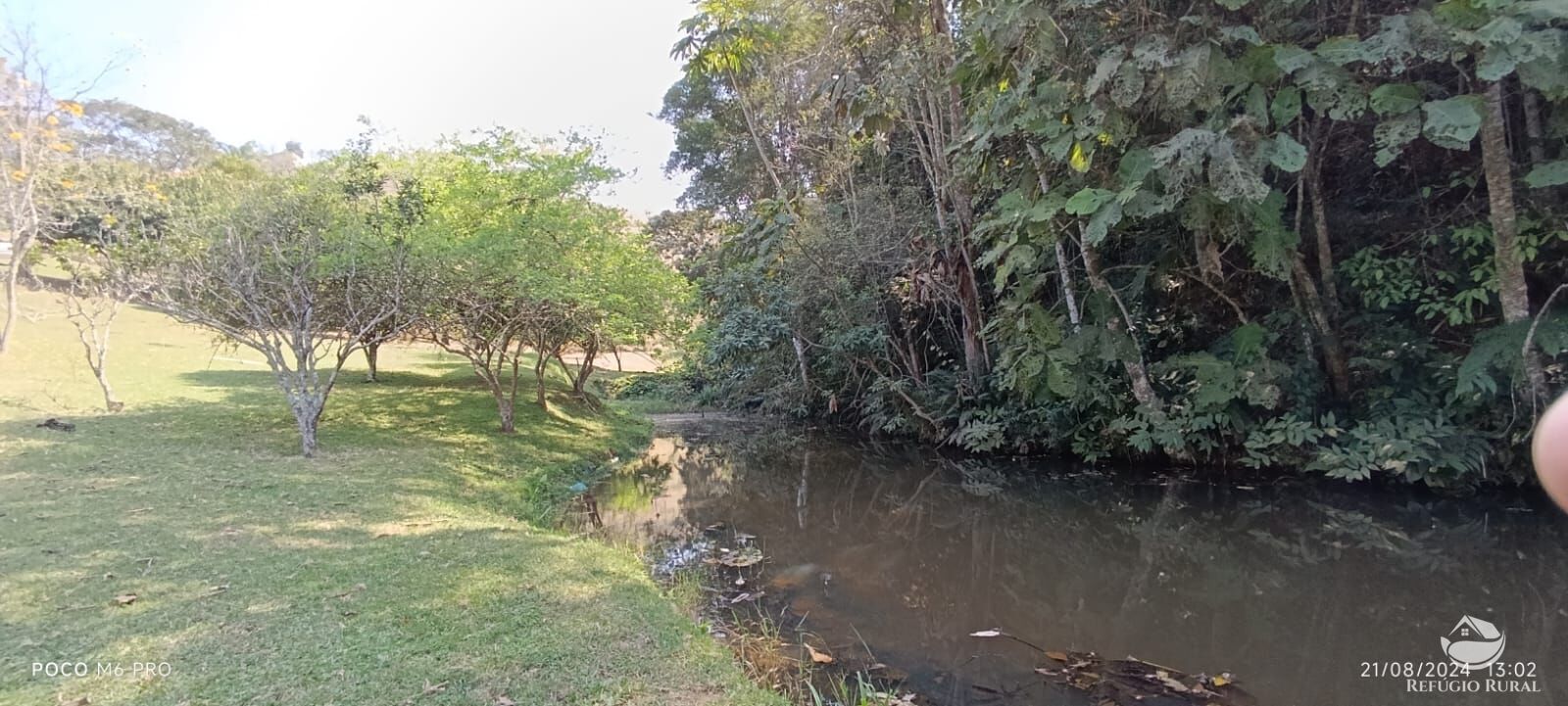 Fazenda à venda com 6 quartos, 25000m² - Foto 31