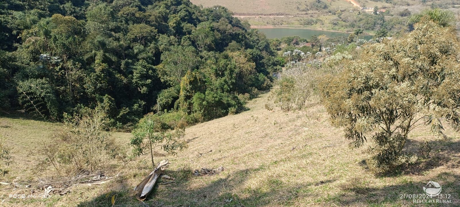 Fazenda à venda com 6 quartos, 25000m² - Foto 28