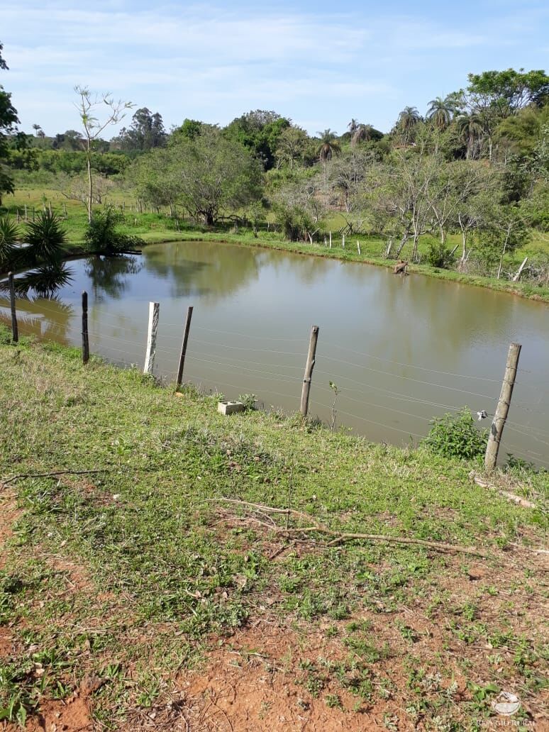 Fazenda à venda com 1 quarto, 31000m² - Foto 28