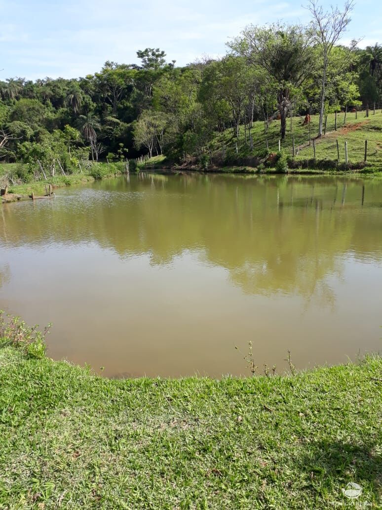 Fazenda à venda com 1 quarto, 31000m² - Foto 17