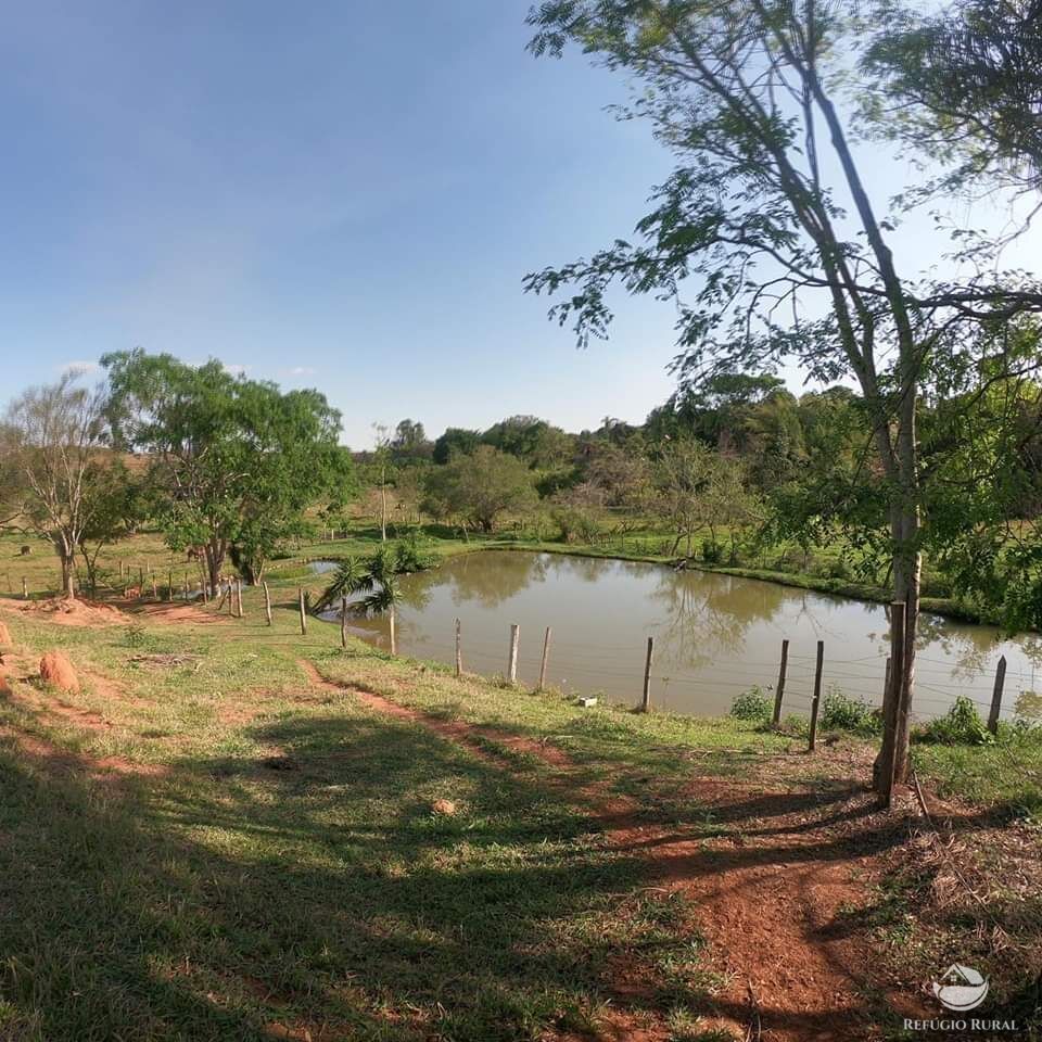 Fazenda à venda com 1 quarto, 31000m² - Foto 5