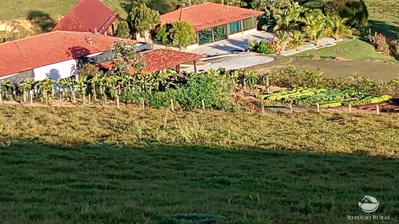 Fazenda, 774 hectares - Foto 2