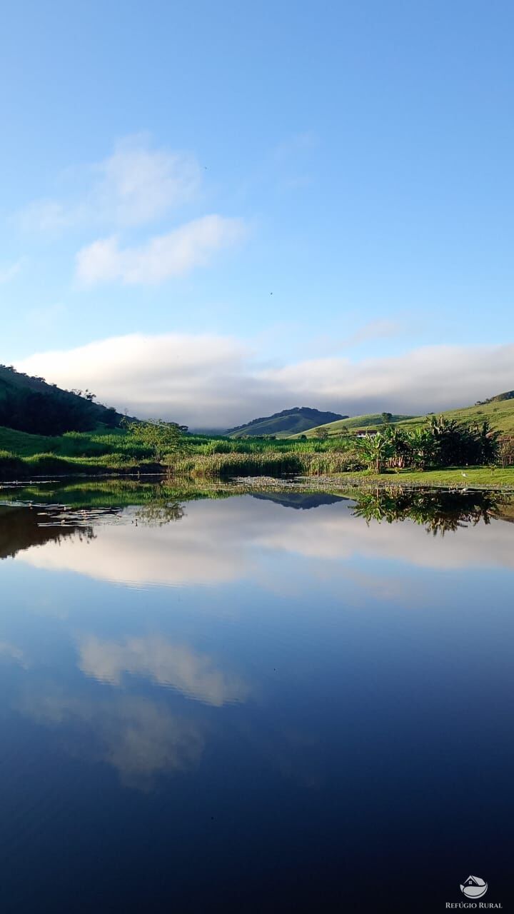 Fazenda, 774 hectares - Foto 3