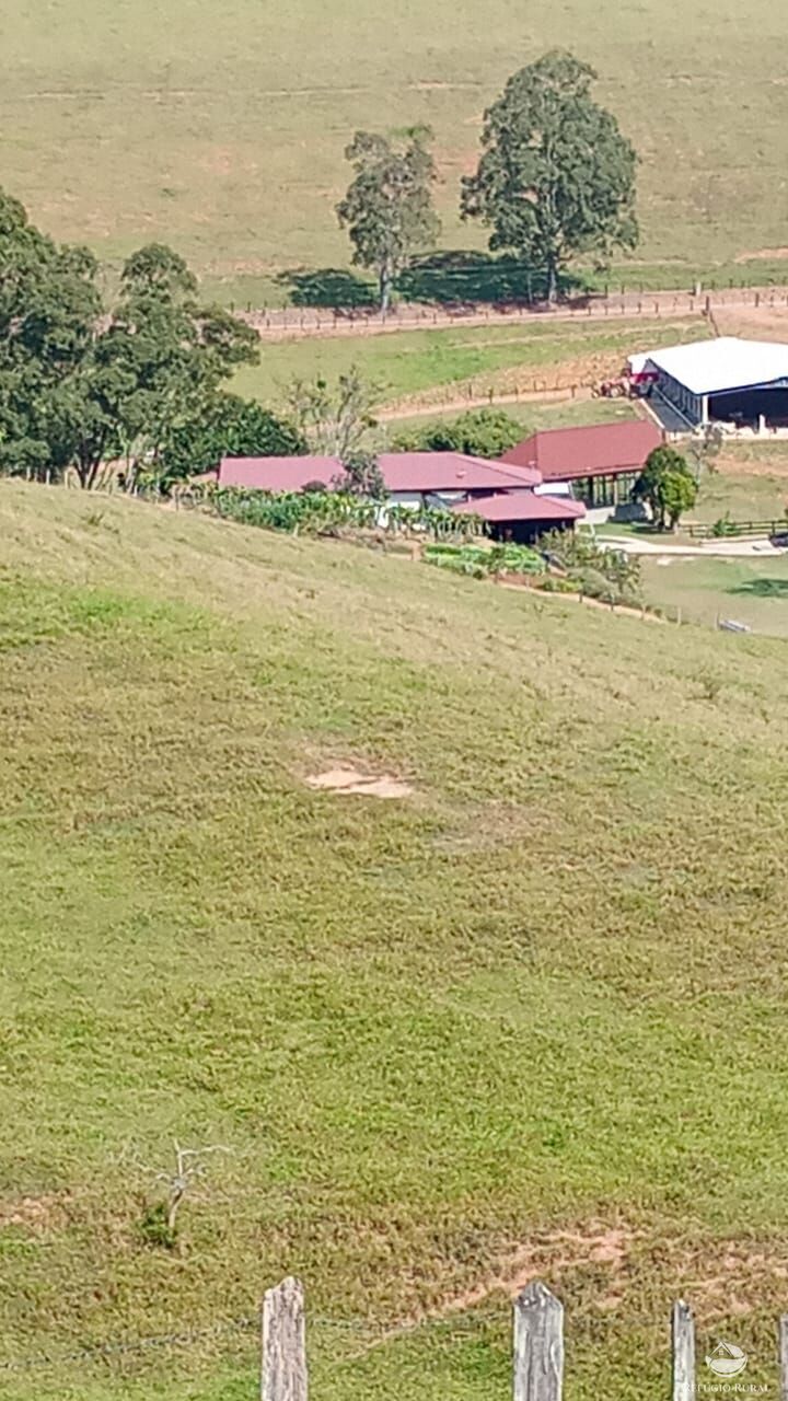 Fazenda, 774 hectares - Foto 5