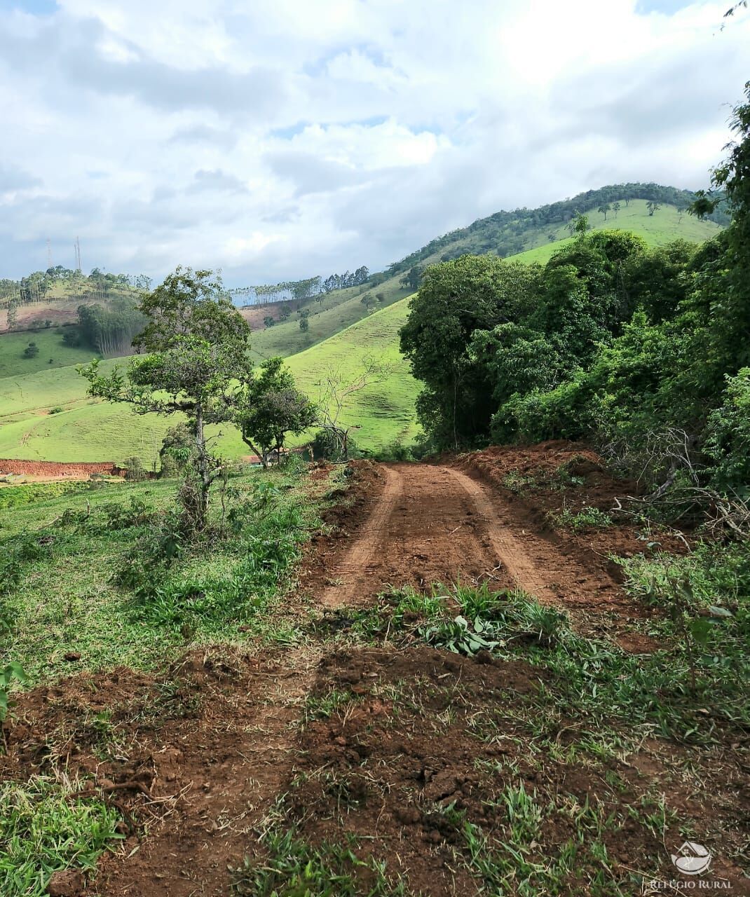 Terreno à venda, 40000m² - Foto 2